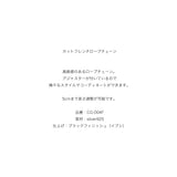 【AQUA SILVER】カットフレンチロープチェーン（CG-004F）
